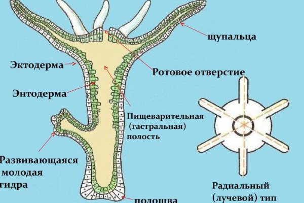 Кракен маркетплейс официальный сайт